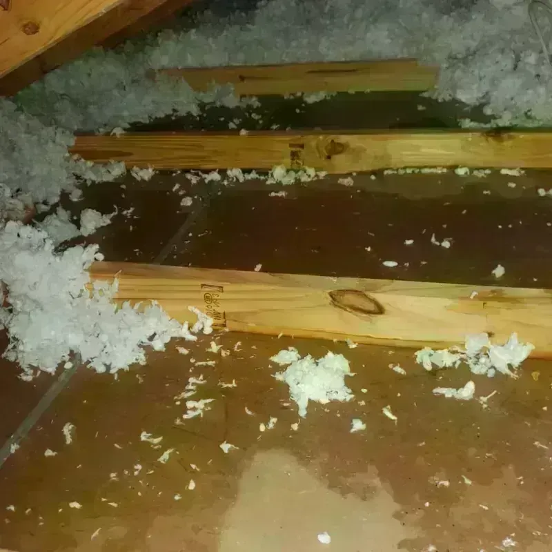 Attic Water Damage in Granite Bay, CA